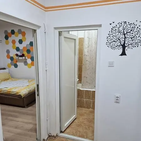 Designed Ambiental House & Work Place Apartment