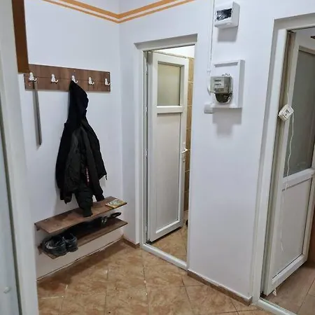 Designed Ambiental House & Work Place Apartment